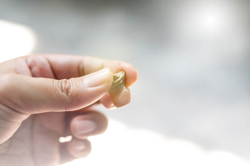 handing over a hearing aid